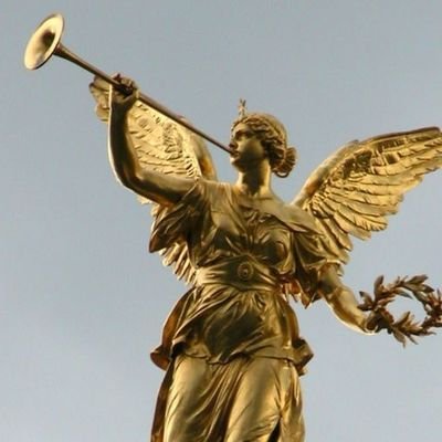MaxPhemex's profile picture. crypto researcher.