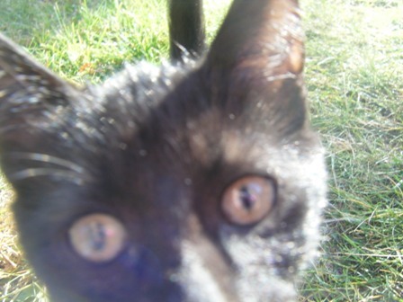 RynnFrynn's profile picture. Gross kid