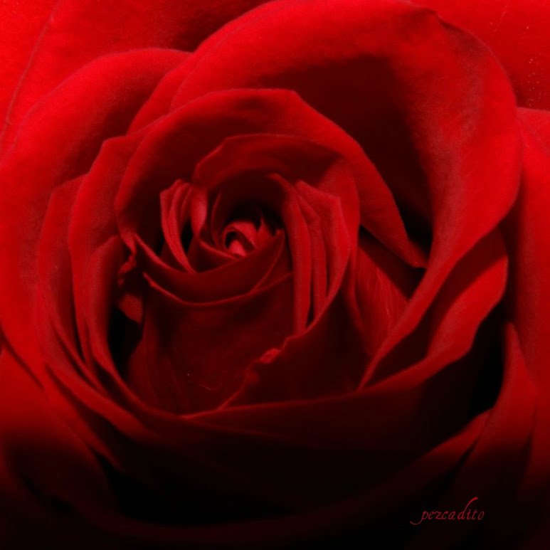 StellaViteri's profile picture. Nada en particular, mis hijas, mi largo camino por la vida con todas esas experiencias buenas y no tan buenas...