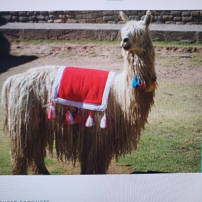 bohemianllamart's profile picture. VINTAGE - MIXED-MEDIA BOHEMIAN ART