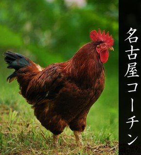 vtE6evkiUIR84oe's profile picture. 趣味でポートレート撮ってます。最近は背景や構図も少し考えるようになりました📸