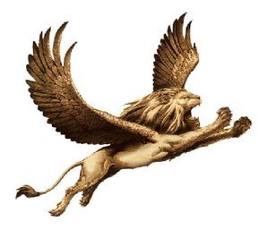 beben77's profile picture. simple, cool, calm, confidence