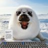 HypoCat's profile picture. Programmer teacher,  indie game dev/programmer