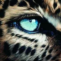 ingwetrades's profile picture. Day-trader. Market student. Political Independent. Nothing I tweet constitutes a recommendation. Do your own DD