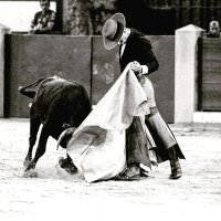 Daniel Aragón (@daniaragon6) 's Twitter Profile