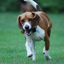 Robert Rabideau - @Y22_Rydr - Twitter