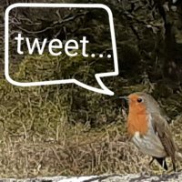 Steve Kimberley🇪🇪💙🇪🇺 (@coundonroad) 's Twitter Profile