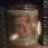 MikeComish's profile image
