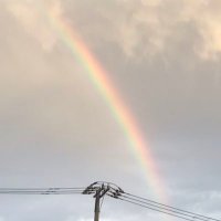 キャンディーマン (@ntt7rpqnckfaczc) 's Twitter Profile