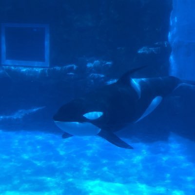 のどごしさんのプロフィール画像