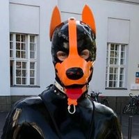 Gonso22 Latexpuppy π Summer π (@gonso22l) 's Twitter Profile