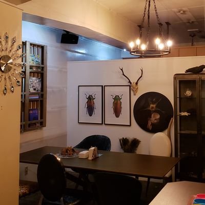 Wunderkammer 閉店しましたさんのプロフィール画像