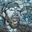 thedailystash's profile image