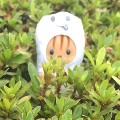 シルバニアの赤ちゃんおばけ Akachan Obake Twitter シルバニアの赤ちゃんおばけ Akachan Obake Twitter