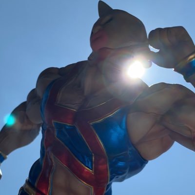 キン肉マン/ガンダム(宇宙世紀)/MARVEL/シンプソンズ/めぞん一刻/任天堂/サザン/QUEEN/ビバヒル/SW/探偵!ナイトスクープ/猪木/志村けん/B・リー/J・チェン/MJ/ガキの使い/恐竜/ラーメン/ポテチ/洋画全般/平成ガメラ/海/ネコ…等々、その他好きなもの多数