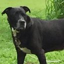 Nancy Sams - @NancySams11 - Twitter