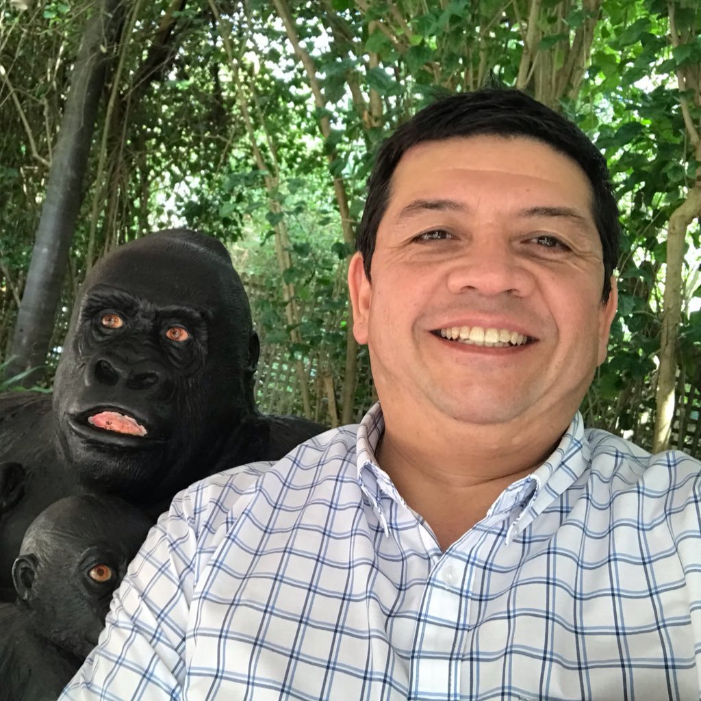 poaraya's profile picture. #CNNs & #IIoT | #RealTime & Operational Intelligence projects implementation | #DataScience | #Agile Project Management | #PISystem #Arduino  #Automation Expert