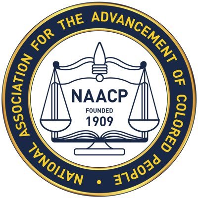 The vision of the NAACP is to ensure a society in which all individuals have equal rights without discrimination based on race.