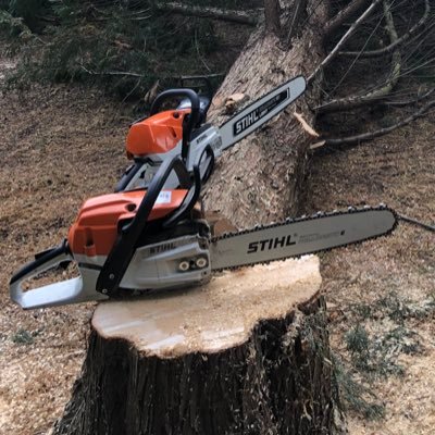Fully trained and qualified tree surgeons. Tree felling, pruning, hedge cutting and other types of garden work! Get in touch for free quotations!