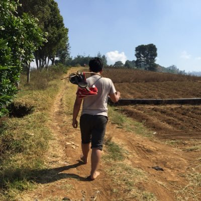 @teguhsuandi