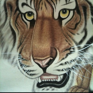 awesomelord0120's profile picture. 