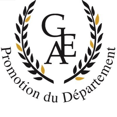 Compte Officiel Promotion du Département GEA Limoges 2019/2020 ⚜️ Instagram : @geapromotion_limoges