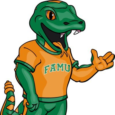 The official page of the FAMU Women’s Basketball Managers #LRB