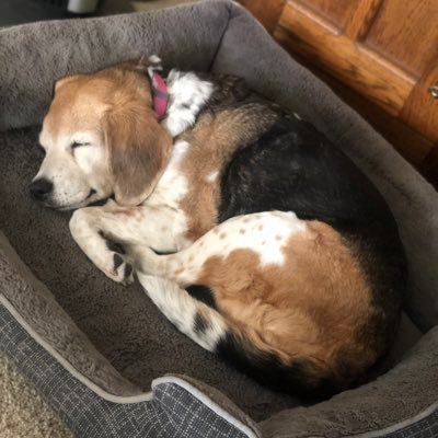 Jeffrey_Jay12's profile picture. Professional Air Guitar and Drum Player. Not a member of the group Eiffel 65.