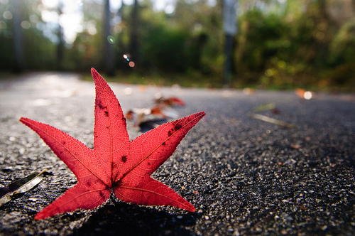 liuyeye's profile picture. 