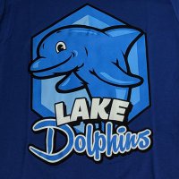 Lake Elementary School ~ Home of the Dolphins!(@LakeElementary) 's Twitter Profile Photo
