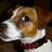 Friday_Furious's profile image