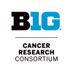 Big Ten Cancer Research Consortium (@BigTenCRC) Twitter profile photo