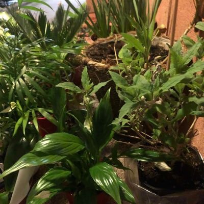 EC2EC3EC4's profile picture. .