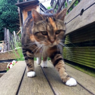 rachelbolton107's profile picture. 