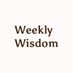 Weekly Wisdom (@weeklywisdomco) Twitter profile photo Weekly Wisdom (@weeklywisdomco) Twitter profile photo