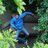tobitshko's profile image