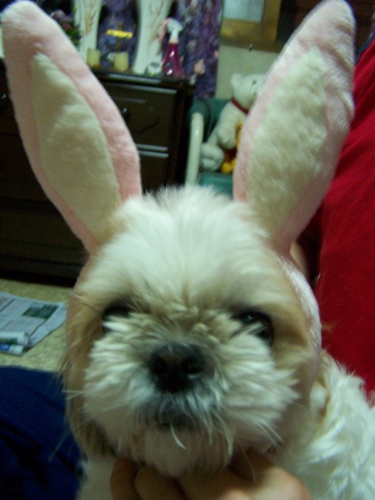 angella760's profile picture. 커피, 자동차, 사람을 제일 좋아하는 여자.,,AB형,사자자리,강씨의 성때문에 오해를 무지 많이받음..CSI, NCSI 시리즈 무지좋아함..트윗초보...