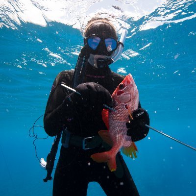 marine ecologist | Assistant Professor @UTMSI | coral reefs | molecular ecology | food webs | trophic interactions | sciart | she/her