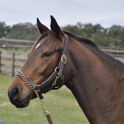 giants93_dean's profile picture. Retired. Naples, FL. Totally into horse racing, golf, and NY sports teams. Go Giants. Go Yankees. Music is my soul 🎵🎶🎶🎶🎵🎶🎶🎶