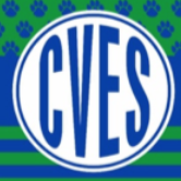 Creek View Elementary School PTA (@view_pta) 's Twitter Profile