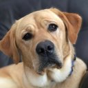 kim Erdman - @kimErdman10 - Twitter