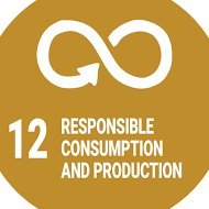 Youth aligning with SDG12 and promoting sustainable consumption and production patterns at COP 25 in Santiago, Chile