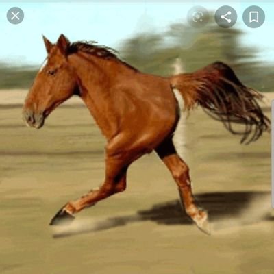 smalltimeowner's profile picture. 