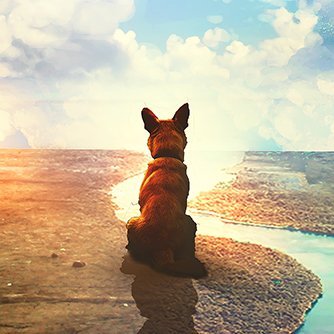 RamosDavyson's profile picture. 