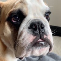 Ronnie (@ronniebattista) 's Twitter Profile Photo