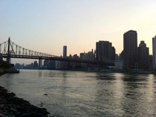 joeterranella's profile picture. Streaming video nerd, product manager @m3, dad, writing about product an