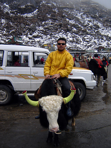 upengk's profile picture. Dreamer