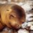 morisbar's profile image