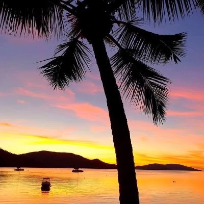 Palm Bay Resort is perfectly positioned in a beautiful cove on Long Island in the Whitsundays. Stunning villas, most offering absolute beachfront.