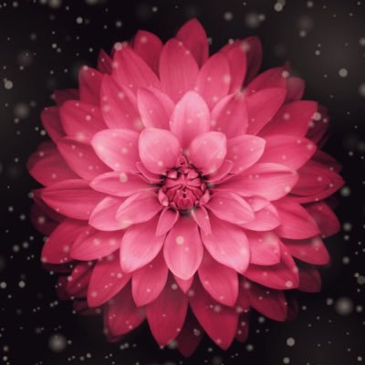 KatrinaMarieRN's profile picture. 